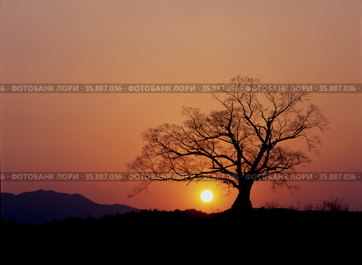 Sunset View. Стоковое фото, агентство Ingram Publishing / Фотобанк Лори