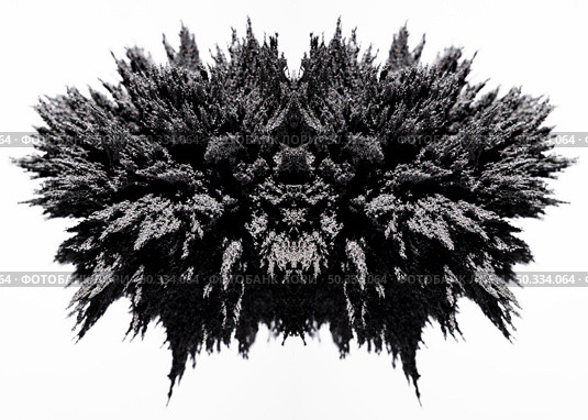 symmetry magnetic metal shaving white backdrop. Стоковое фото, агентство Ingram Publishing / Фотобанк Лори