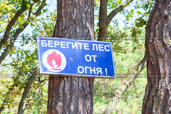 Табличка "Берегите лес от огня" (2017 год). Редакционное фото, фотограф Алексей Букреев / Фотобанк Лори