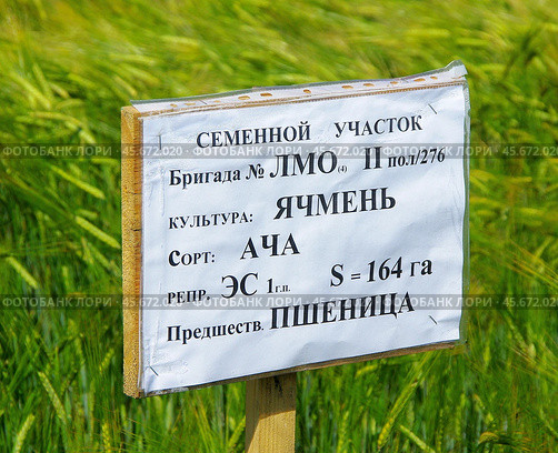 Табличка на семенном поле ячменя, Богдановичский район, Свердловская область (2019 год). Стоковое фото, фотограф Алексей Иванов / Фотобанк Лори