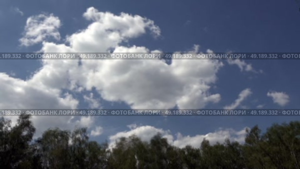 Таймлапс. Бегущие облака над лесом. Time lapse. Running clouds over the forest. Стоковое видео, видеограф Горшков Александр / Фотобанк Лори