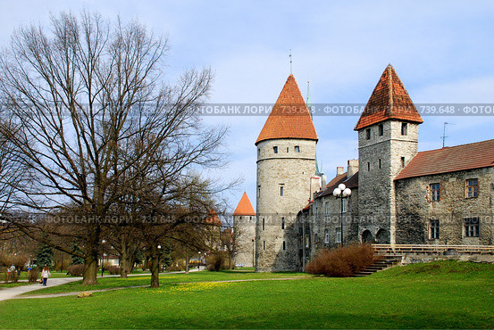 Таллин, Старый город (2008 год). Стоковое фото, фотограф Криволап Ольга / Фотобанк Лори