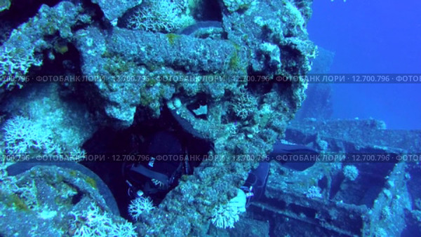 Танк на затонувшем судне SS Thistlegorm (2014 год). Редакционное видео, видеограф KEN VOSAR / Фотобанк Лори