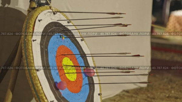 Target for shooting - an arrow pierces the target. Стоковое видео, видеограф Константин Шишкин / Фотобанк Лори