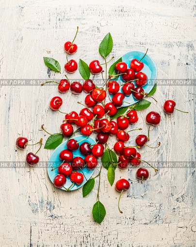 Tasty red cherries with leaves in blue bowls and table, top view composing. Summer fruit  and berries concept. Стоковое фото, агентство Ingram Publishing / Фотобанк Лори
