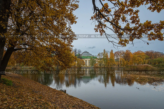 Таврический сад. Большой пруд. Санкт-Петербург. Редакционное фото, фотограф Андрей Игнатов / Фотобанк Лори