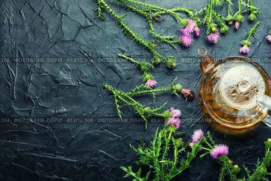 Teapot with medicinal wild herbal tea.Milk thistle or Silybum marianum in in herbal medicine.Copy space. Thistle in herbal medicine. Стоковое фото, агентство Ingram Publishing / Фотобанк Лори