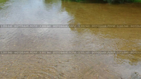 Течение лесной речушки. Стоковое видео, видеограф Александр Fanfo / Фотобанк Лори