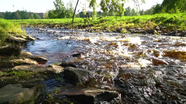 Течение небольшой реки в городском парке в конце лета. Боковое движение (2022 год). Редакционное видео, видеограф Sergei Gorin / Фотобанк Лори