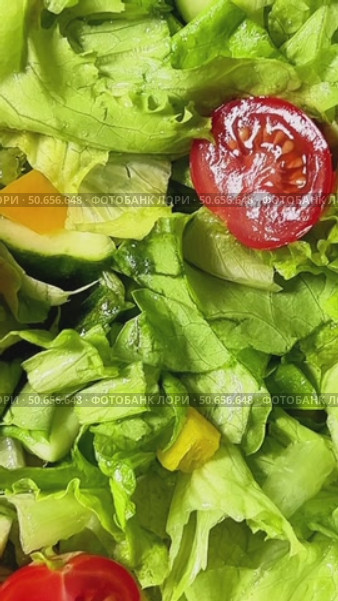 The camera zooms up and reveals a beautiful juicy salad with tomatoes and cucumbers. Стоковое видео, видеограф Ярославский Максим / Фотобанк Лори