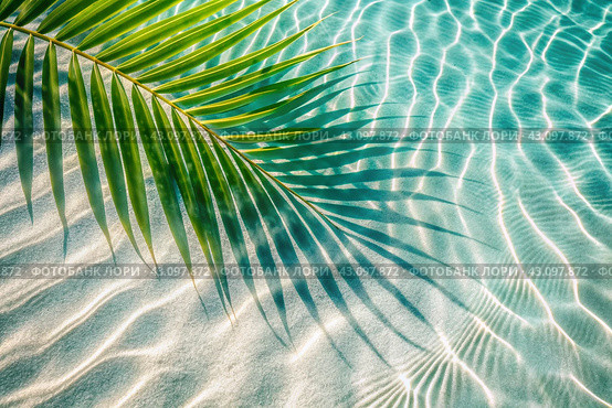 The concept of a summer vacation on the beach. View of tropical leaves on the surface of the water. The shade of palm leaves on the white sand beach. Beautiful abstract background for the banner. Стоковое AI-изображение, AI-художник Photojuli / Фотобанк Лори