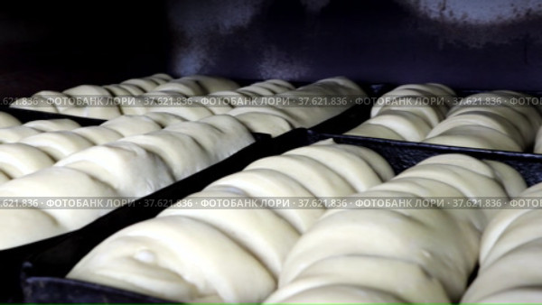 The dough embedded in the molds is ready for baking loaves. Стоковое видео, видеограф Igor Bastrakov / Фотобанк Лори