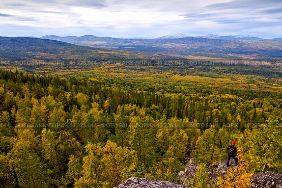 the endless Ural Taiga among the mountains and ridges on a summer day. Стоковое фото, фотограф Акиньшин Владимир / Фотобанк Лори