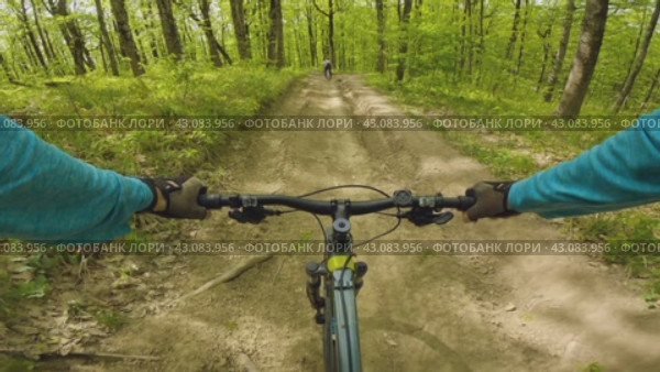 The essence of mountain biking. A cyclist speeds down a mountain in the woods on a bumpy road. The thrill and essence of mountain biking. First person view. There is another cyclist riding ahead. Стоковое видео, видеограф Воловодов Владимир / Фотобанк Лори