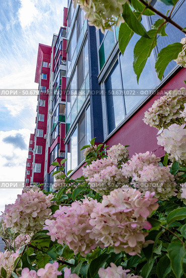 The facade of a new multi-storey residential building. Стоковое фото, фотограф Светлана Денисова / Фотобанк Лори
