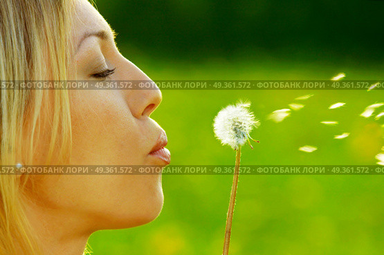 The girl blows on a dandelion on a background of a grass. Spring entertainments. Стоковое фото, агентство Ingram Publishing / Фотобанк Лори