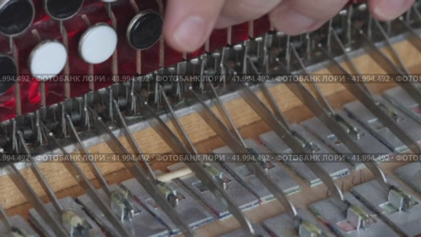 The man checks the compression of the butt button. It presses the valve with a screwdriver to the body and spreads the fur. Bayan repair and maintenance. Close-up. Стоковое видео, видеограф Vadzim Yakubovich / Фотобанк Лори