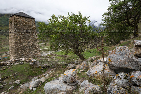 The old tower in village Upper Balkaria. Стоковое фото, фотограф Юлия Белоусова / Фотобанк Лори