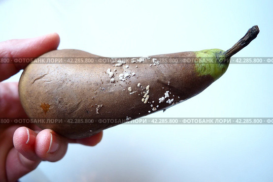 The pear became moldy. A mold or mould. The dust-like, colored appearance of molds is due to the formation of spores containing fungal secondary metabolites. Perishable food products. White background. Стоковое фото, фотограф Юлия Петровская / Фотобанк Лори