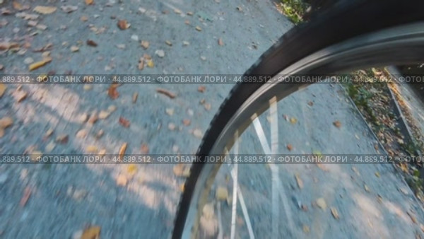 The rapid movement of the bicycle wheel along the autumn path of the park. Front view. Стоковое видео, видеограф Ярославский Максим / Фотобанк Лори