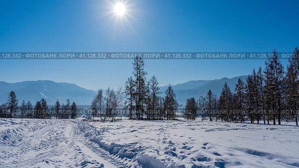 The road is trampled in a snow-covered valley. Tire tracks are visible. Coniferous trees and a picturesque mountain range against the blue sky. The rays of the sun are shining. Altai. Стоковое фото, фотограф Вера Ивановна Кубарева / Фотобанк Лори