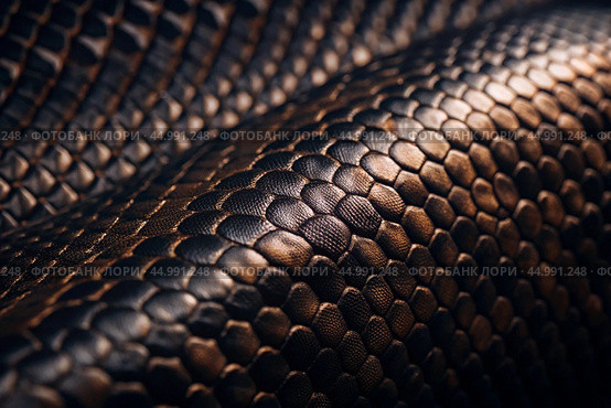 The texture of natural snakeskin. Close-up. The New Year of the snake 2025. Leather background of reptiles. Стоковое AI-изображение, AI-художник Photojuli / Фотобанк Лори