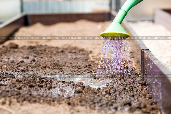 There is a watering can in the hands of an elderly woman. The farmer waters the garden with solutions of potassium permanganate against diseases and pests before planting seedlings in the ground. Стоковое фото, фотограф Photojuli / Фотобанк Лори