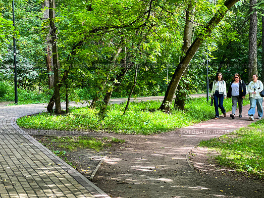 Three young women are walking along a path in the park. There are trees along the path, and benches along the road. Russia. Moscow. 19.08.25. Редакционное фото, фотограф Ярославский Максим / Фотобанк Лори