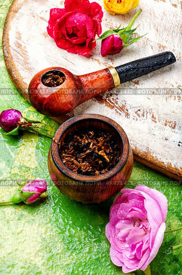Tobacco pipe and smoking tobacco with rose flavor.Refined taste of tobacco. Smoking pipe and floral tobacco. Стоковое фото, агентство Ingram Publishing / Фотобанк Лори