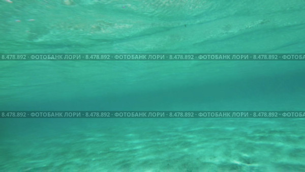 Толща морской воды. Стоковое видео, видеограф Данил Руденко / Фотобанк Лори