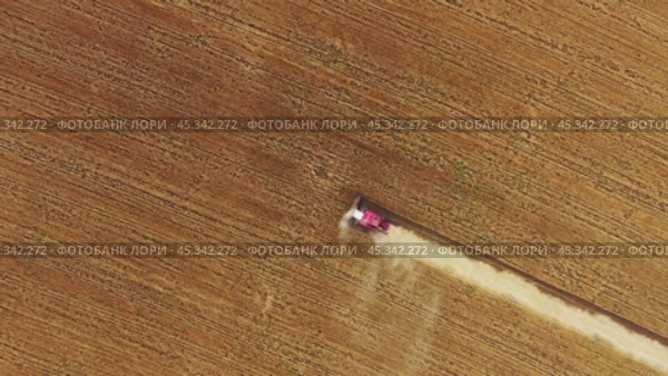Top view of combine on harvest field. Стоковое видео, видеограф Михаил Коханчиков / Фотобанк Лори