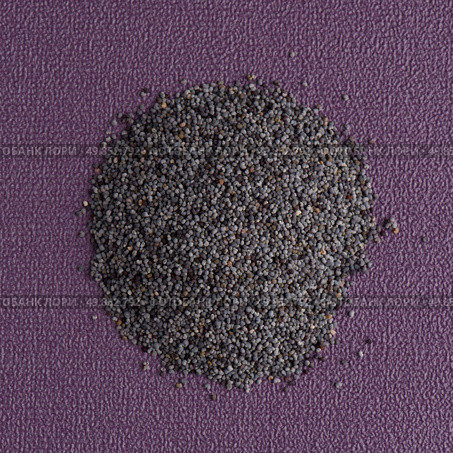 Top view of poppy seeds against purple vinyl background. Стоковое фото, агентство Ingram Publishing / Фотобанк Лори