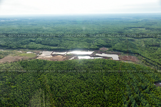 Top view of the riverbed forest after gold mining. Gold mining with dredge. Environmental pollution. Ecological catastrophy. Стоковое фото, фотограф Евгений Ткачёв / Фотобанк Лори
