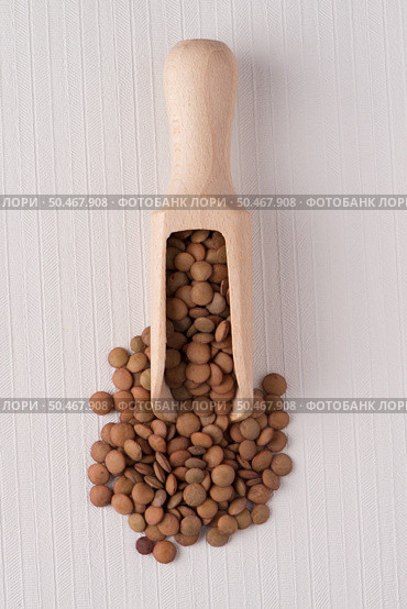Top view of wooden scoop with  against white vinyl background. Стоковое фото, агентство Ingram Publishing / Фотобанк Лори