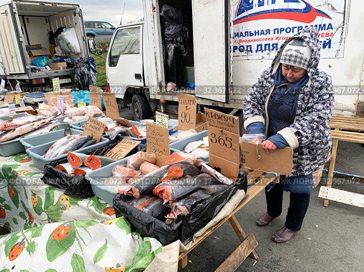 Торговля рыбой на продуктовой ярмарке выходного дня на центральной площади Владивостока - площади Борцов за власть Советов осенью (2019 год). Редакционное фото, фотограф Овчинникова Ирина / Фотобанк Лори