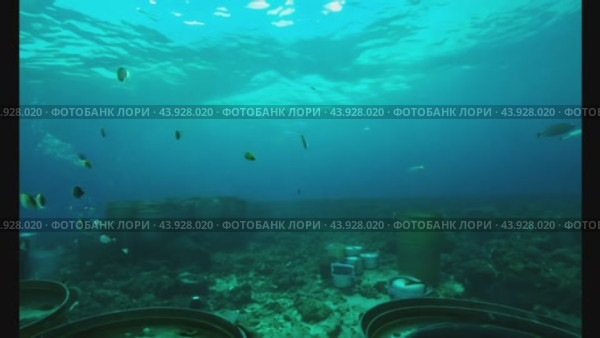 Toxic barrels contaminating ocean floor. Стоковое видео, видеограф Данил Руденко / Фотобанк Лори