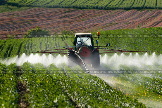 Tractor spraying pesticides on soybean field during agricultural treatment. Стоковое AI-изображение, AI-художник Иван Рябоконь / Фотобанк Лори