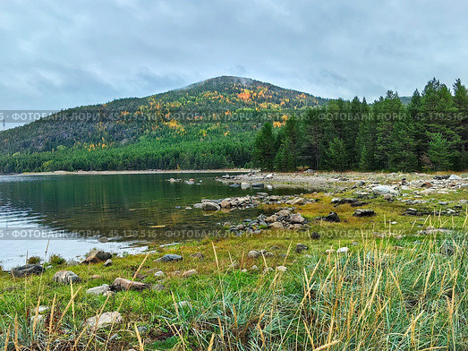 Tranquil autumn landscape by the White Sea in Kandalaksha, showcasing vibrant foliage and serene waters. Стоковое фото, фотограф Александра Селина / Фотобанк Лори