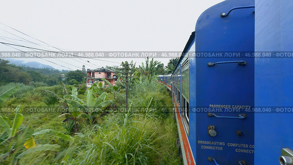 Traveling train in midst of green forest in tropical mountains. Стоковое фото, фотограф David Kashakhi / Фотобанк Лори