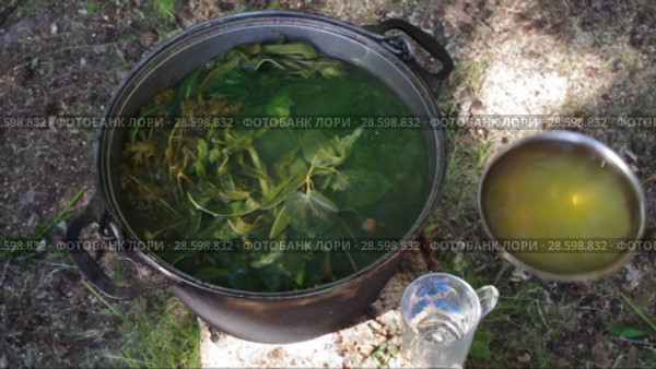 Травяной чай. Наливание в кружку. Herbal tea. Pouring tea into a mug. Стоковое видео, видеограф Евгений Романов / Фотобанк Лори