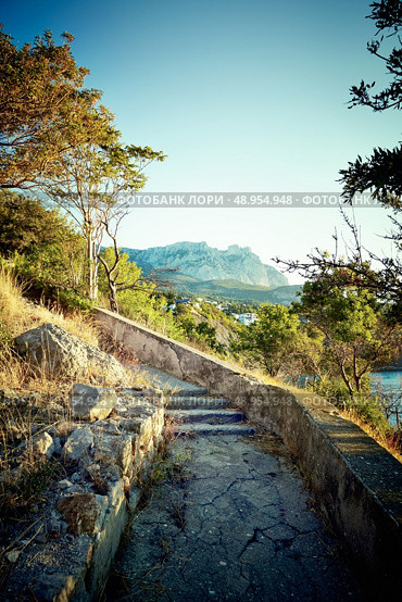 Tree and sea at sunset. Crimea landscape. Nature background. Стоковое фото, агентство Ingram Publishing / Фотобанк Лори