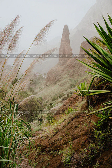 Trekking paradise. Beautiful route 202 via Lombo de Pico in Xo-Xo valley. Track from Rabo Curto via Ribeira da Torre to Rebeira Grande. Santo Antao island, Cape Verde (2017 год). Стоковое фото, фотограф Igor Tichonow / Фотобанк Лори