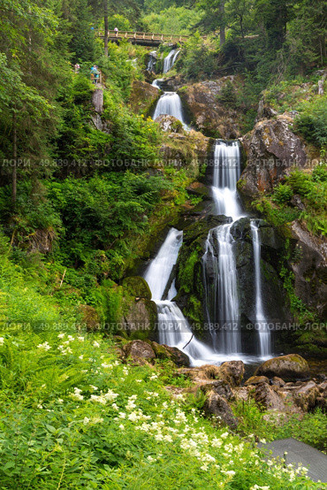 Triberg Falls is one of the highest waterfalls in black forest, Germany. Стоковое фото, агентство Ingram Publishing / Фотобанк Лори