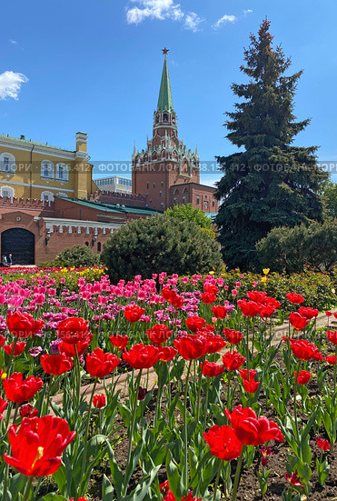 Троицкая башня Московского Кремля в солнечный весенний день (2022 год). Стоковое фото, фотограф Мария Кылосова / Фотобанк Лори