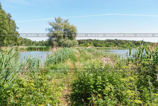 Тропа на берегу реки Сестры (2019 год). Стоковое фото, фотограф Алёшина Оксана / Фотобанк Лори