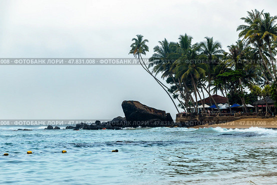 Tropical island with palm trees. Стоковое фото, фотограф Андрей Иванов / Фотобанк Лори