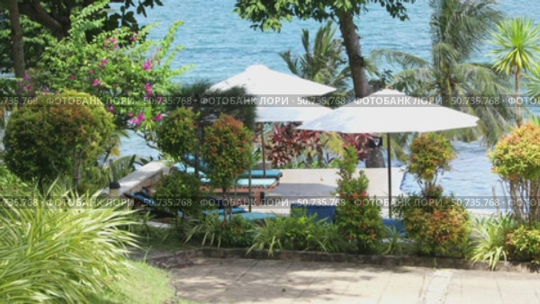 Tropical plants surround lounge chairs with umbrellas beside a swimming pool, offering a amazing view of the ocean and palm trees. Tropical paradise, natural beauty and luxurious relaxation vacation. Стоковое видео, видеограф Ирина Михайличенко / Фотобанк Лори