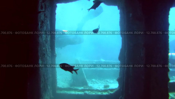 Трюм на затонувшем судне SS Thistlegorm (2014 год). Редакционное видео, видеограф KEN VOSAR / Фотобанк Лори