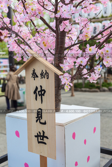 Цветущая сакура. Senso-ji shrine, Asakusa, Токио. Япония (2013 год). Редакционное фото, фотограф Кекяляйнен Андрей / Фотобанк Лори