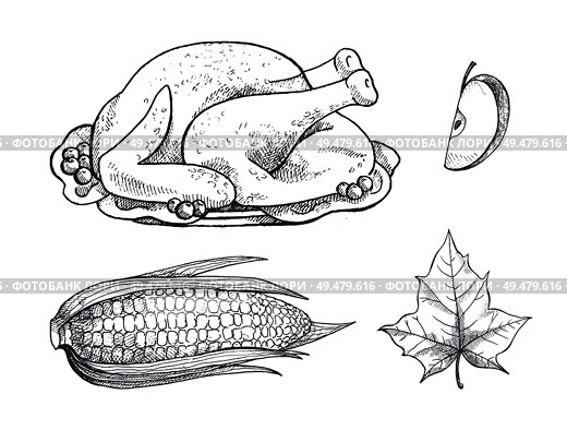 Turkey meat dish and corn vegetable and plate set vector. Isolated icons monochrome sketches outline maize and leaves, apple fruit slice and foliage. Turkey Meat Dish and Corn Vegetable Set Vector. Стоковая иллюстрация, агентство Ingram Publishing / Фотобанк Лори